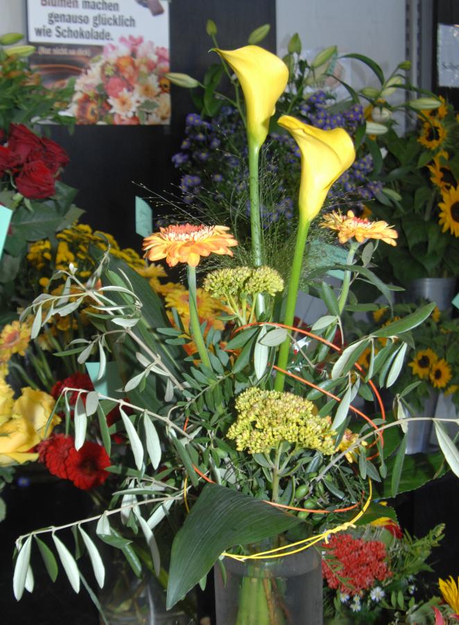 Blumen Kamm Inh. Friedrich Peter Kamm Schnittblumen | Blumen Kamm
