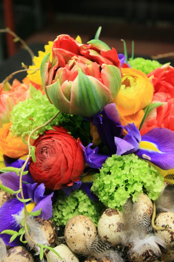 Blumen Kamm Inh. Friedrich Peter Kamm Zeit für mehr Farbe im Leben | Blumen Kamm