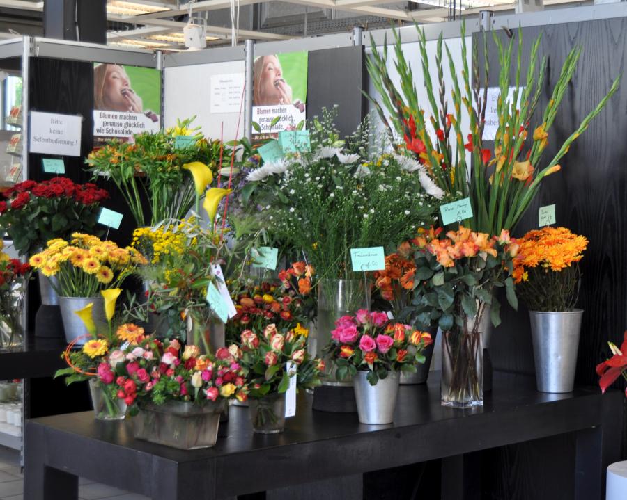 Blumen Kamm Inh. Friedrich Peter Kamm Schnittblumen | Blumen Kamm