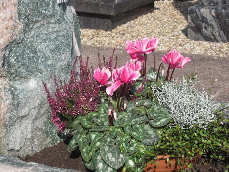 Blumen Kamm Inh. Friedrich Peter Kamm Herbst | Blumen Kamm